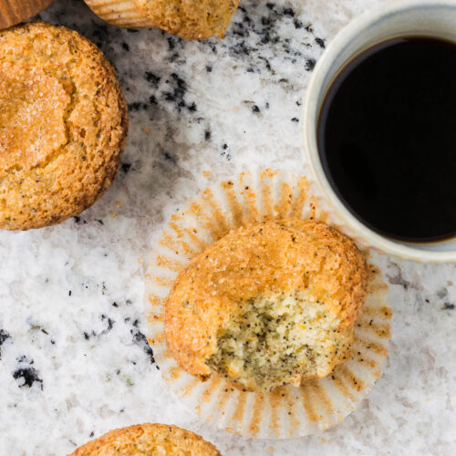 orange poppyseed muffins