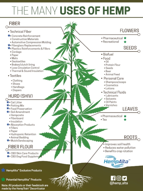 hemp+uses (1)