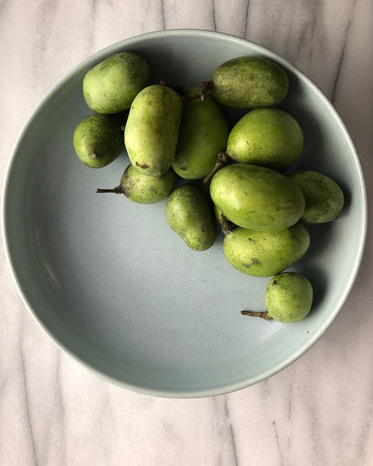 A blue bowl with filled with fresh paw paw fruit sitting on a white table.