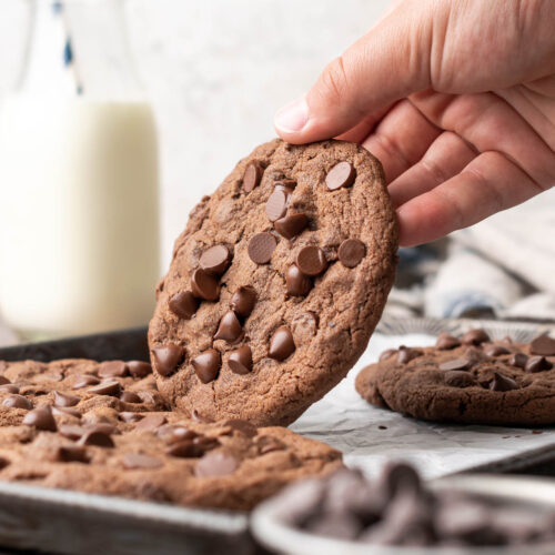 gluten free double chocolate cookies