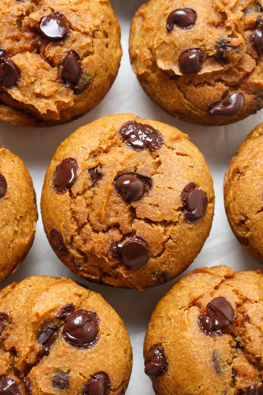 Overhead view of pumpkin muffins with chocolate chips.