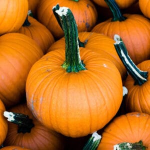 A pile of pie pumpkins at a farmers market.