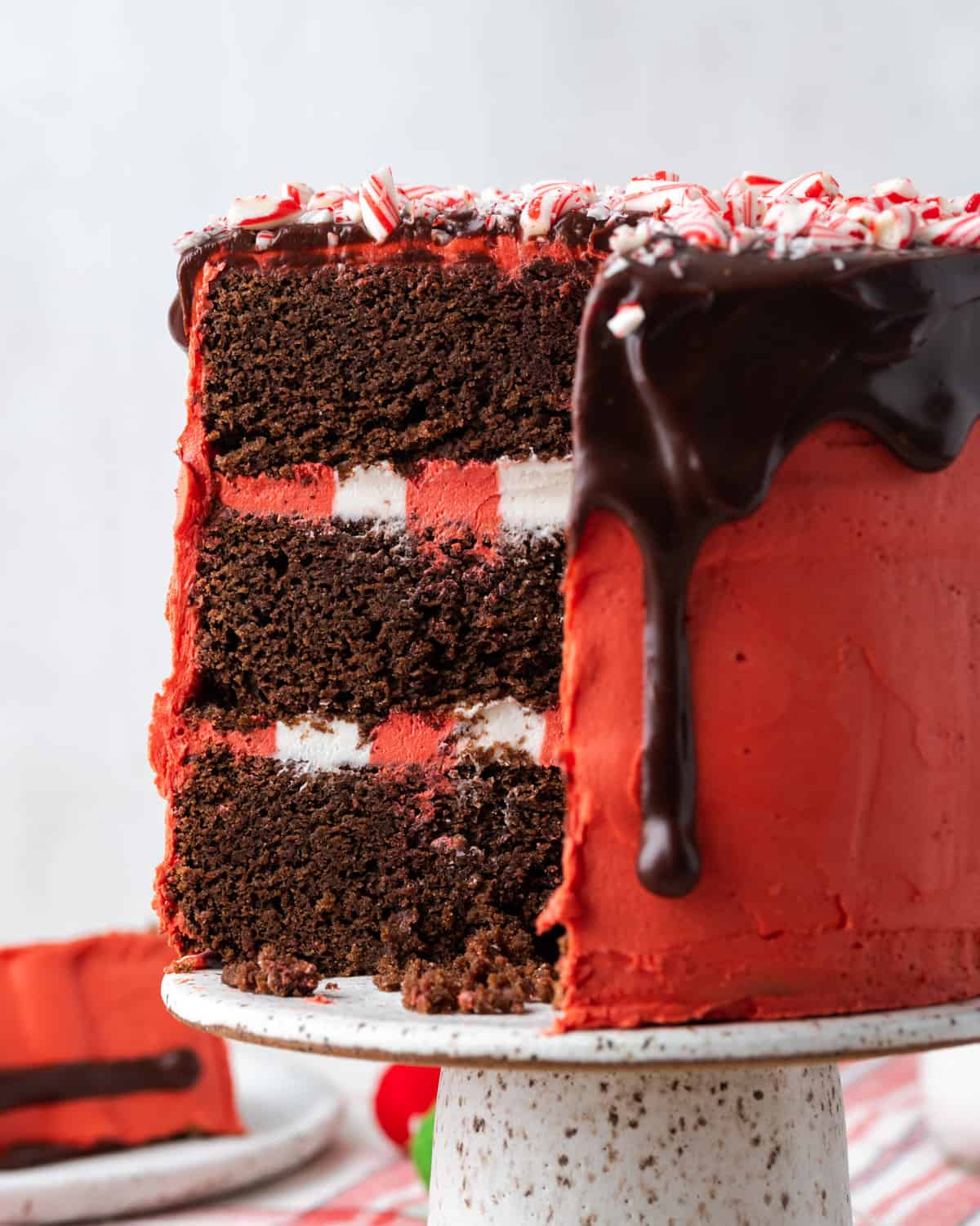 A closeup of the interior of the chocolate peppermint cake showing three chocolate layers with red and white striped buttercream frosting.