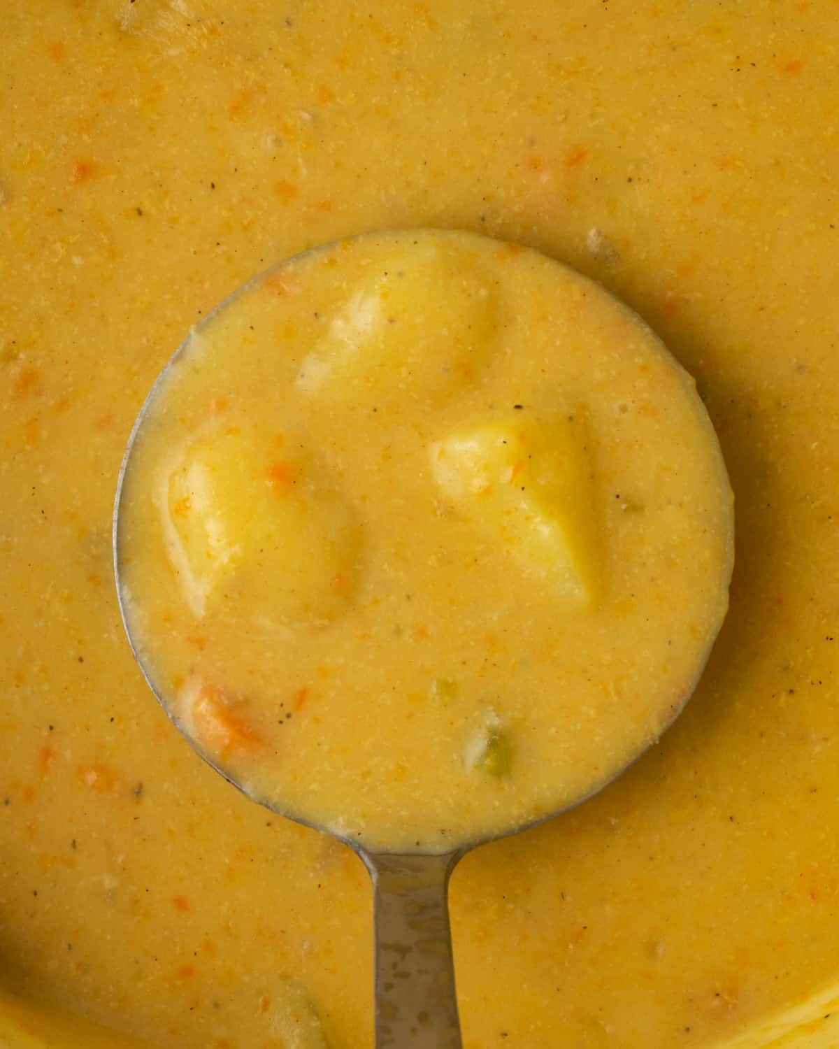 A ladle full of gluten free potato soup with a creamy texture and chunks of cooked potatoes and carrots.