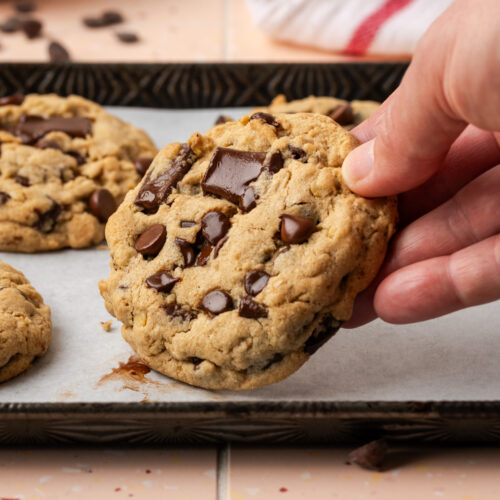 A hand picking up a chocolate chunk cookies off of a baking sheet.