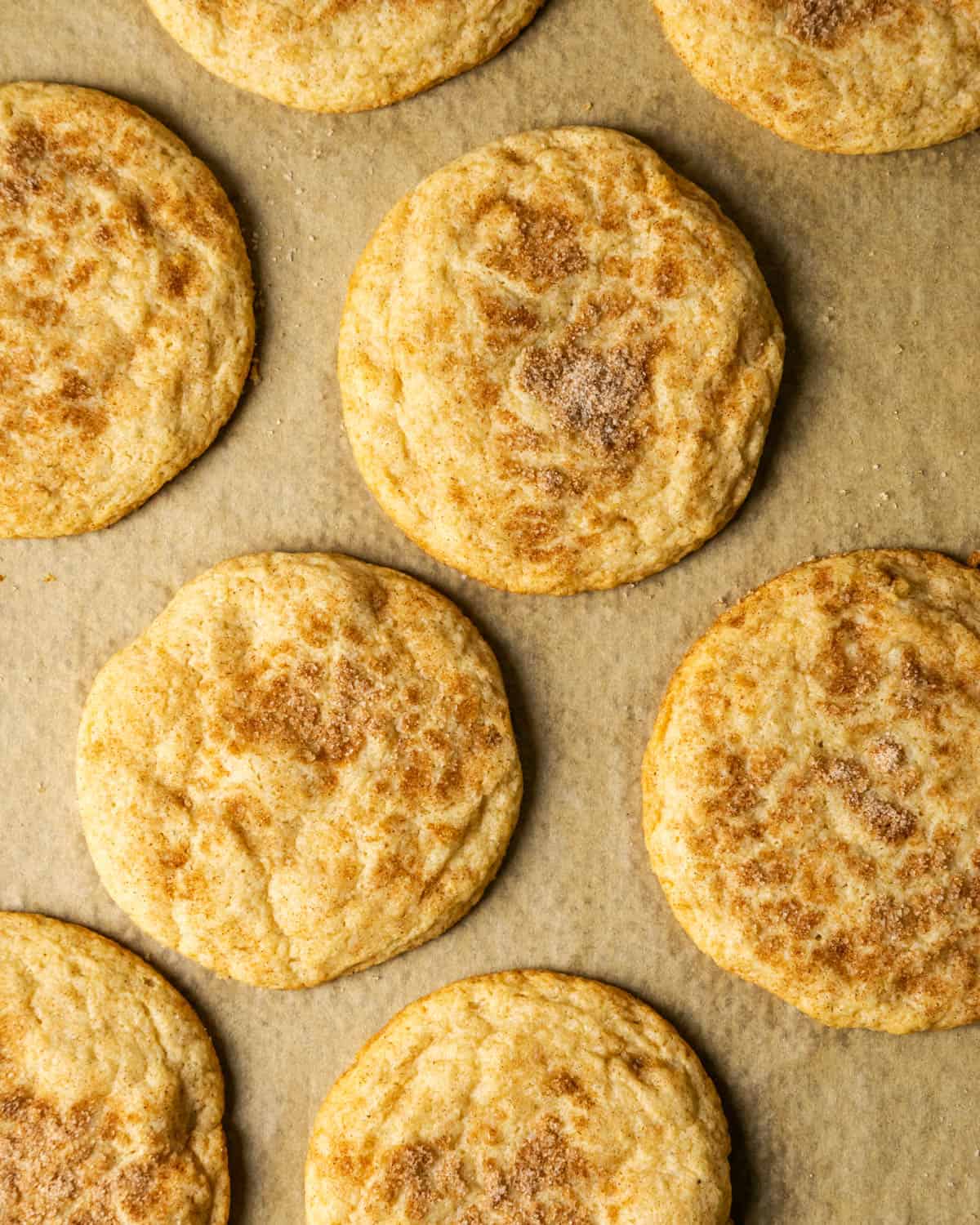 Freshly baked cinnamon sugar cookies on a baking sheet. 