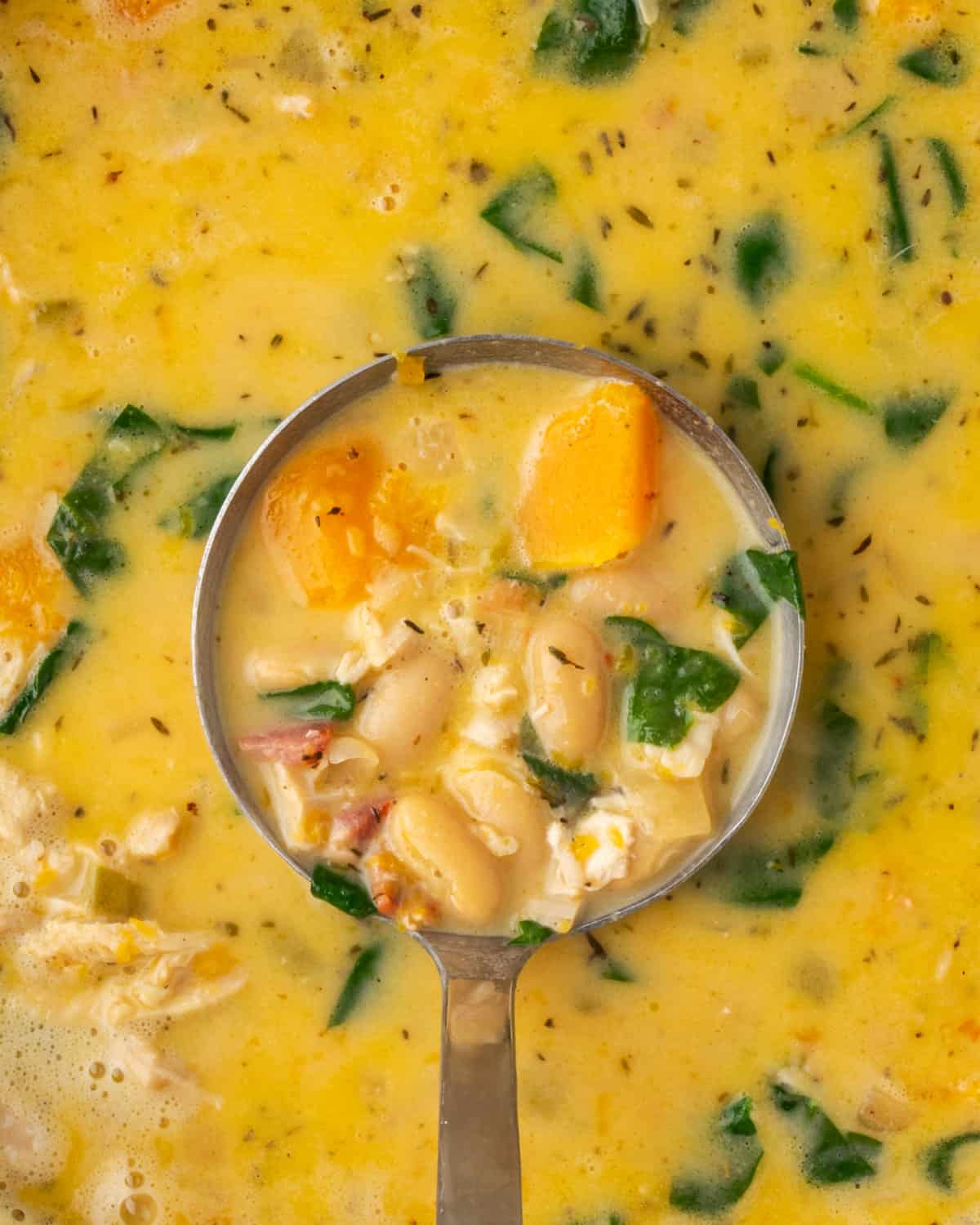 A ladle scooping up a serving of chicken butternut squash soup. 