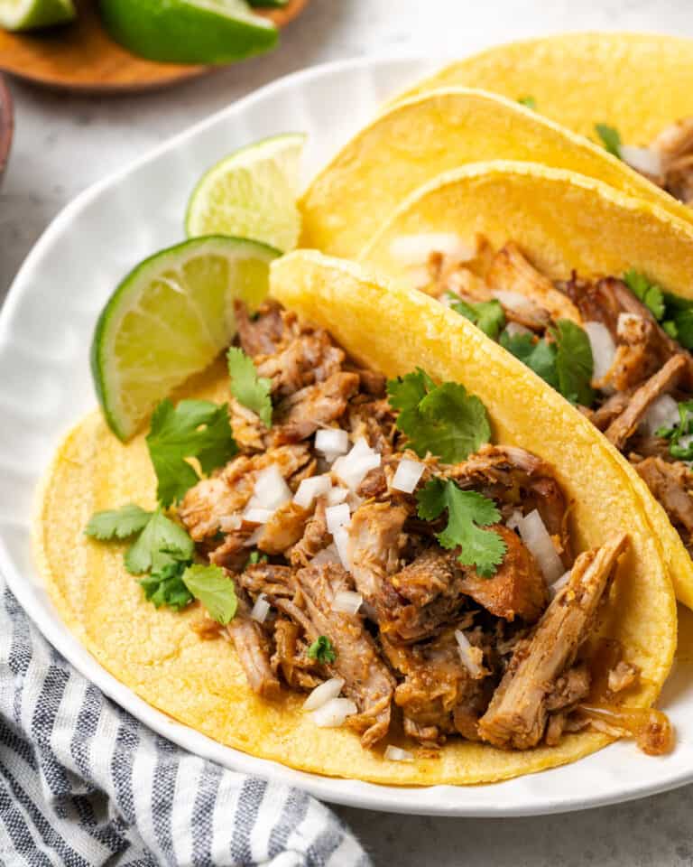 35 Mouth-Watering Gluten Free Mexican Recipes - Well Fed Baker