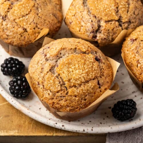 Freshly baked gluten free blackberry muffins sitting on a plate with a few fresh blackberries.