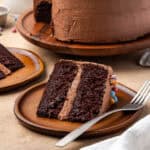 A slice of chocolate cake served on a small dessert plate.
