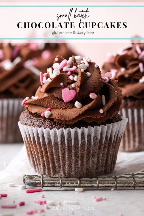 gluten free chocolate cupcakes recipe